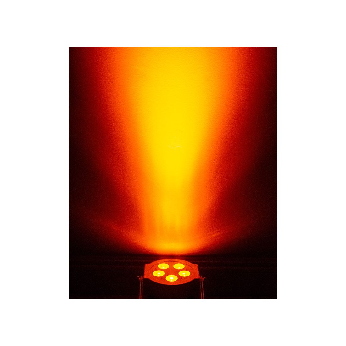 5PX HEX Pearl - Image 2