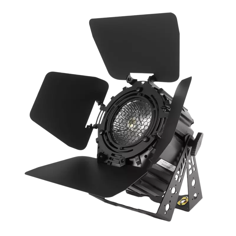 Flash PAR64 LED P300 +A V